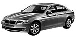 BMW F10 P1838 Fault Code